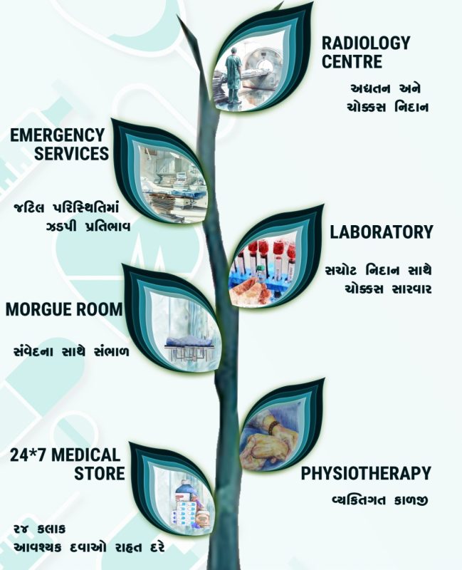 mmsgujarat e1749633937258